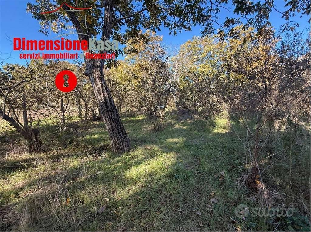 Terreno di 7671 m² a Cicciano - Vista 4
