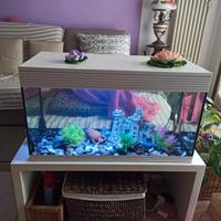 Acquario Askoll pure XL