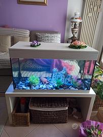 Acquario Askoll pure XL