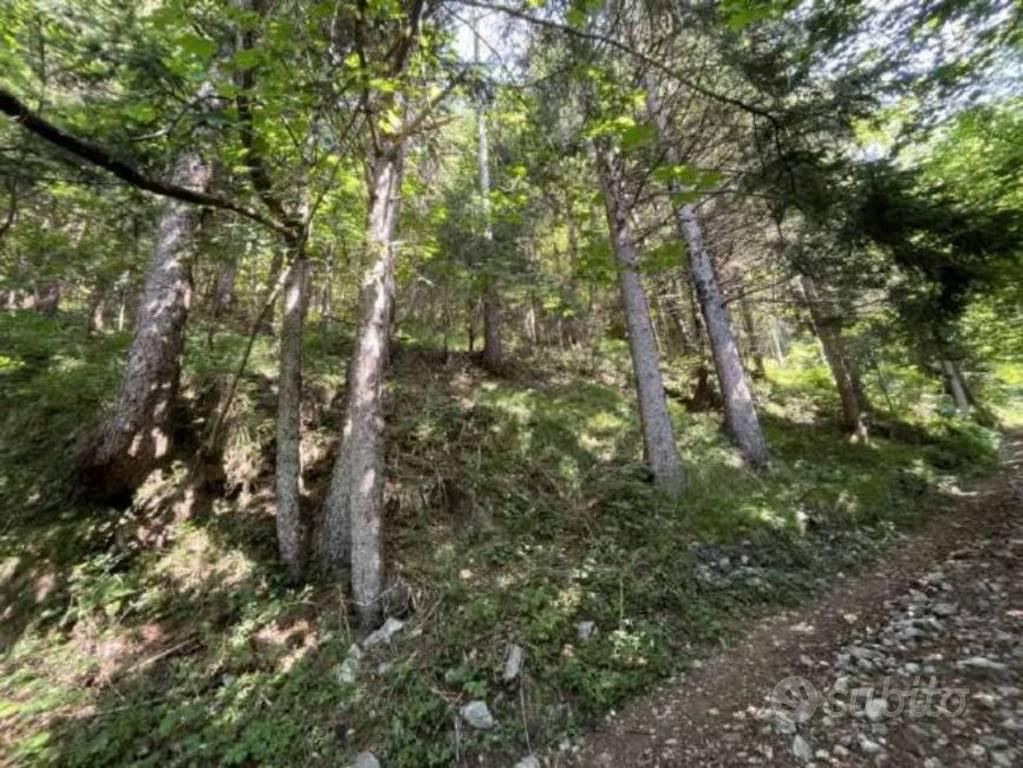 Immobile in asta di 30510 m² a Vilminore di Scalve - Vista 4