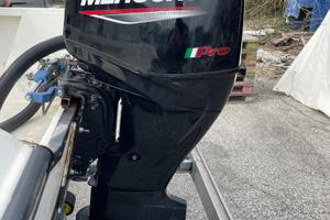 Motore barca mercury 40/60cv PRO