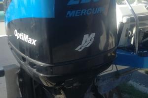 Motore Mercury 225 cv
