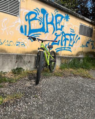 bici whellibike