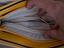 Immagine 4