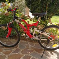 Bici mountain bike da 24"