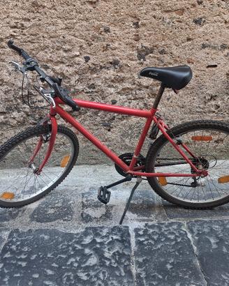 bici.