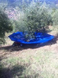 Ombrello bosco 4x4