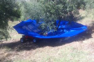 Ombrello bosco 4x4