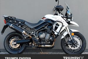 Triumph Tiger 800 Xrt - 2019