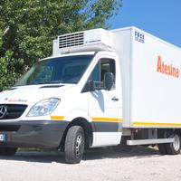 Autocarro isotermico frigo Mercedes 515 cdi 50q