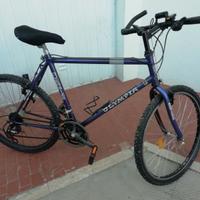 Bicicletta mountain-bike uomo