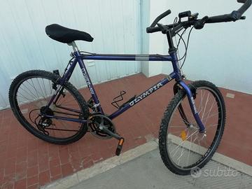 Bicicletta mountain-bike uomo