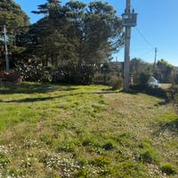 Terreno agricolo mq 3000 Bracciano 2