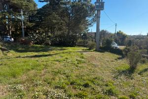 Terreno agricolo mq 3000 Bracciano 2