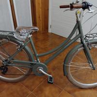 Bicicletta Alpina
