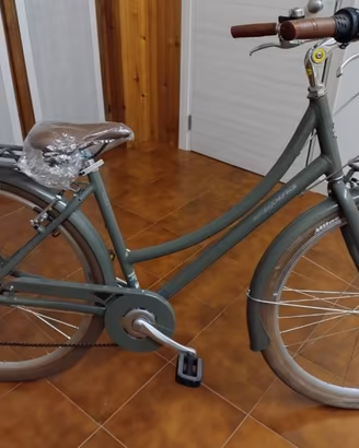 Bicicletta Alpina