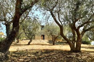 Casa in costruzione con terreno di mq 1200