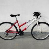 Mountain bike in stock