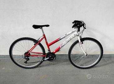 Mountain bike in stock