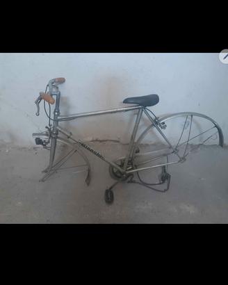 bici bianchi 