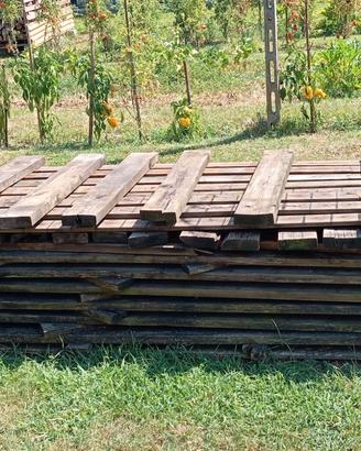 tavole di legno pino