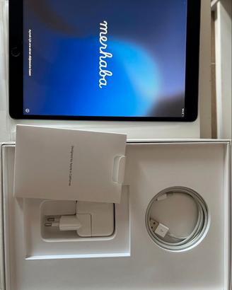 Ipad Air 3