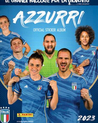 Lotto Collezione Album Panini