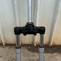 Forcella scarabeo light 250cc