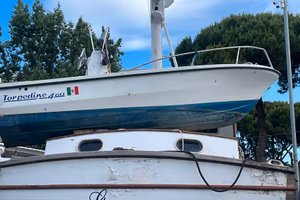 BARCA TORPEDINE 460 PER LA PESCA