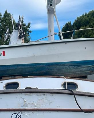 BARCA TORPEDINE 460 PER LA PESCA