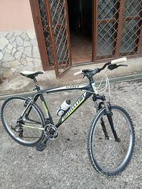 Bicicletta Bottecchi 