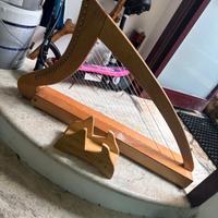 Arpa celtica da studio.