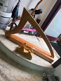 Arpa celtica da studio.
