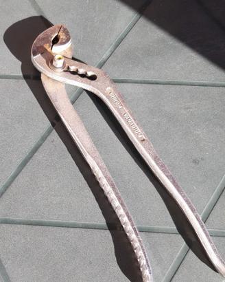 1 pinza pappagallo
