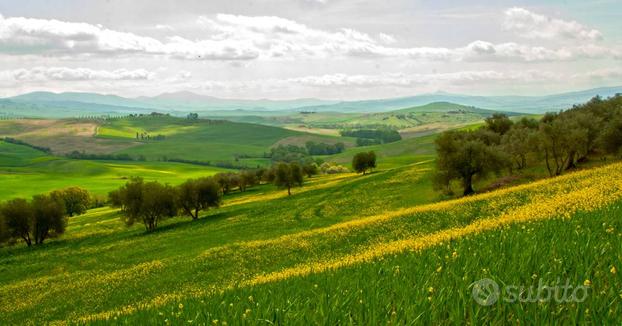 Terreno - Fermo