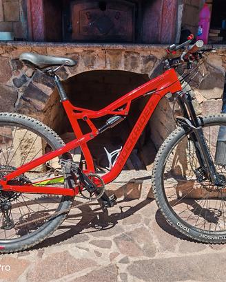 ROCKRIDER XC100S