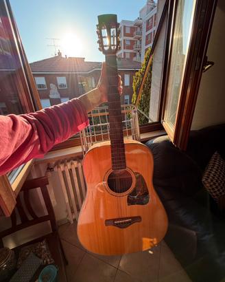 Ibanez AVD1E-NT