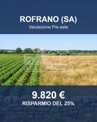 Immobile in asta di 13506 m² a Alfano