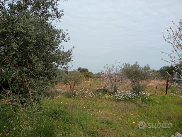 Vendita terreno agricolo