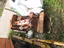 Immagine 6