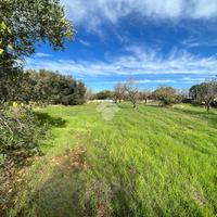 TER. AGRICOLO A SAN VITO DEI NORMANNI