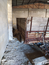 Rimorchio agricolo x trattore