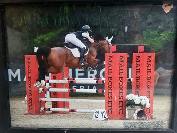 Fida o mezzafida cavalla da salto