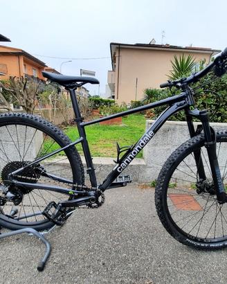 cannondale uomo