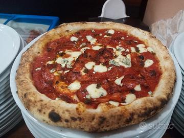 pizzaiolo 