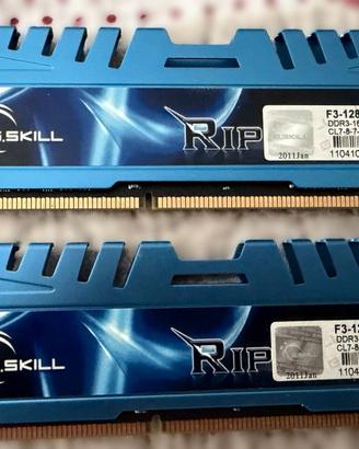 G.Skill DDR3