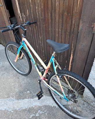 bicicletta 