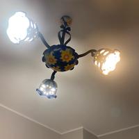 Lamapadario nino parrucca