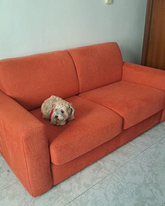 Divano letto Poltronesofà