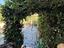 Immagine 18